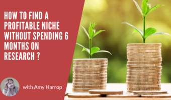How to Find a Profitable Niche Without Spending 6 Months on Research