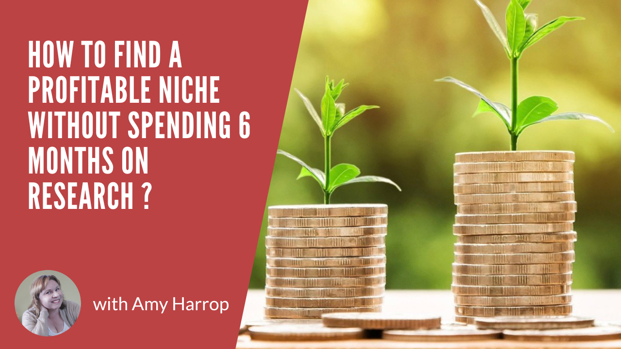How to Find a Profitable Niche Without Spending 6 Months on Research